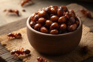 Receta de las Hormigas Culonas