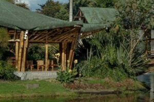 Jardín Botánico José Celestino Mutis